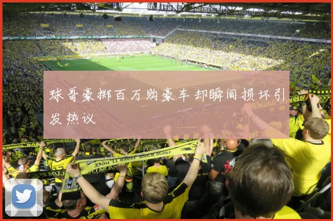 球哥豪掷百万购豪车却瞬间损坏引发热议